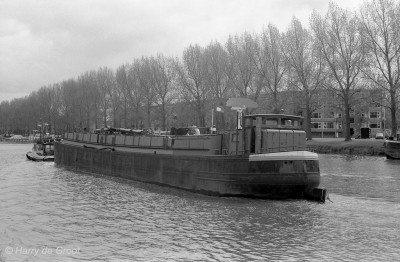 Esha 7 AE18243B (6).jpg