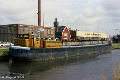 Esha 7 AE18243B (2).jpg