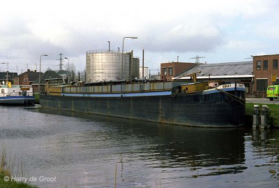 Esha 7 AE18243B (1).jpg