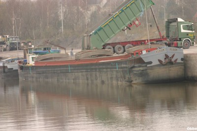Dauphin Requin 21.JPG