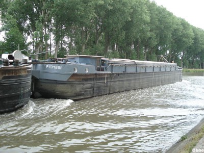 Flipper Bibifoc 24.JPG