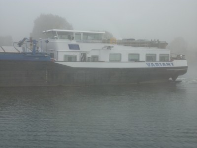 variant (2).JPG