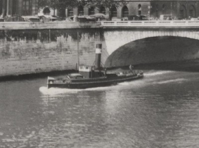 Linotte - 6.jpg (81.73 Kio) Vu 2836 fois Linotte - 6.jpg