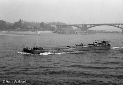 Hobby 01821176 (1).jpg
