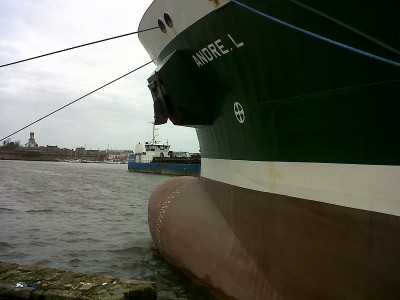 IMG-20121228-00263.jpg (150.06 Kio) Vu 4536 fois IMG-20121228-00263.jpg