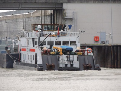 DSCN2643 (Copier).JPG (126.25 Kio) Vu 2392 fois DSCN2643 (Copier).JPG