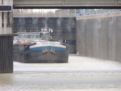 DSCN2644 (Copier).JPG (121.42 Kio) Vu 1778 fois DSCN2644 (Copier).JPG