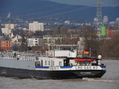 DSCN2510 (Copier).JPG (133.31 Kio) Vu 1435 fois DSCN2510 (Copier).JPG