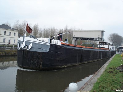 Marvin 11.JPG