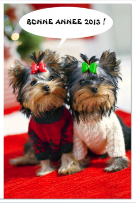 carte.PNG (959.35 Kio) Vu 6013 fois carte.PNG