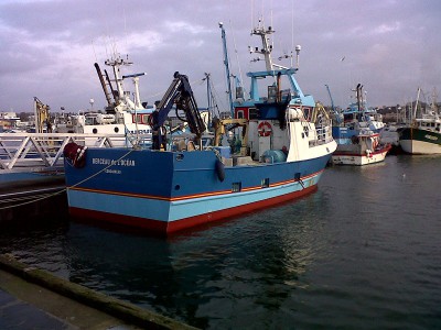 IMG-20121230-00293.jpg