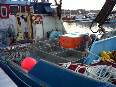 IMG-20121230-00295.jpg