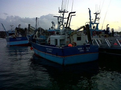 IMG-20121230-00302.jpg (174.01 Kio) Vu 4565 fois IMG-20121230-00302.jpg