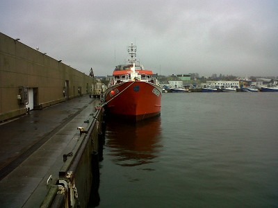 IMG-20121231-00309.jpg (157.58 Kio) Vu 3269 fois IMG-20121231-00309.jpg