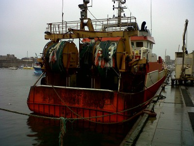 IMG-20121231-00316.jpg (197.23 Kio) Vu 3269 fois IMG-20121231-00316.jpg