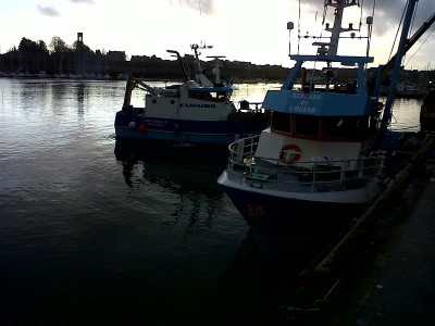 IMG-20130102-00322.jpg (152.39 Kio) Vu 4541 fois IMG-20130102-00322.jpg