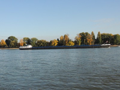 DSCN1634 (Copier).JPG (109.8 Kio) Vu 1370 fois DSCN1634 (Copier).JPG