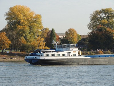 DSCN1635 (Copier).JPG (153.8 Kio) Vu 1370 fois DSCN1635 (Copier).JPG