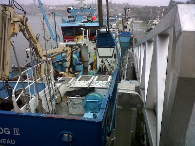 IMG-20130104-00347.jpg