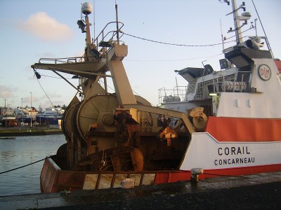 SSA41853.JPG