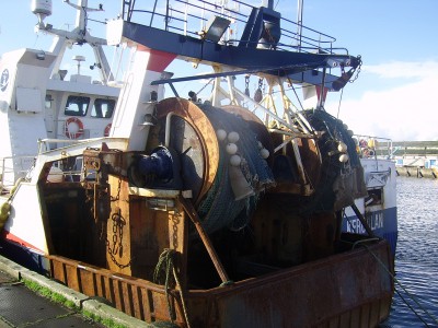 SSA41883.JPG