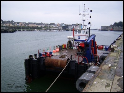 SSA42028.JPG (217.93 Kio) Vu 1577 fois SSA42028.JPG