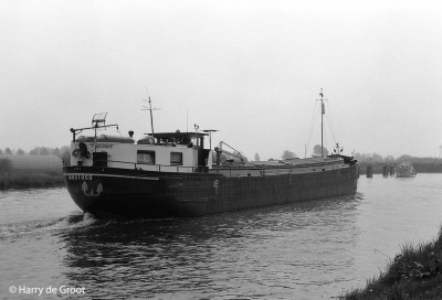 Maestoso 06000668 (2).jpg (112.08 Kio) Vu 7469 fois Maestoso 06000668 (2).jpg