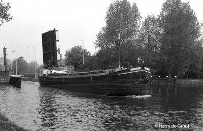 Maestoso 06000668 (1).jpg (166.01 Kio) Vu 7469 fois Maestoso 06000668 (1).jpg