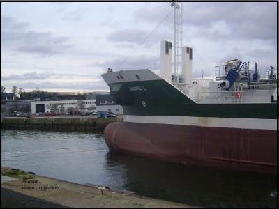 SSA41995.JPG (177.8 Kio) Vu 4503 fois SSA41995.JPG