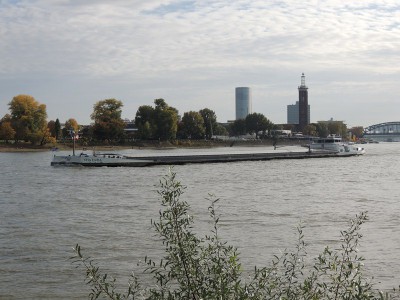 DSCN1565 (Copier).JPG (131.98 Kio) Vu 1318 fois DSCN1565 (Copier).JPG