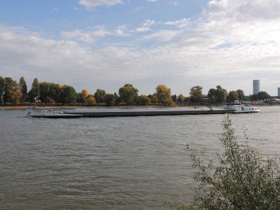 DSCN1567 (Copier).JPG (125.46 Kio) Vu 1318 fois DSCN1567 (Copier).JPG