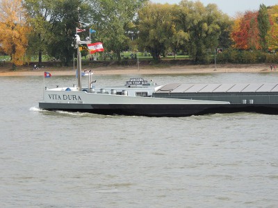 DSCN1568 (Copier).JPG (146.41 Kio) Vu 1318 fois DSCN1568 (Copier).JPG