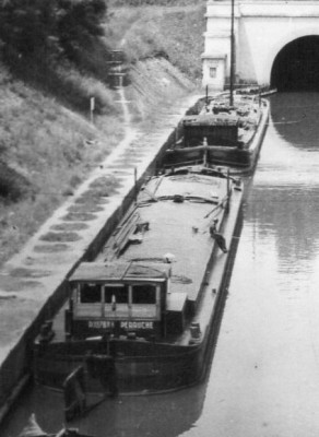 perruche-braye-CP-gauthier.jpg