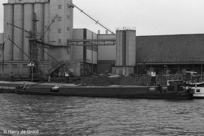 Nathalie 01.jpg (180.89 Kio) Vu 1275 fois Nathalie 01.jpg