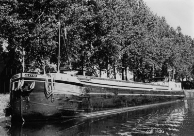 Aletta 02103567 (1).jpg (227.41 Kio) Vu 1881 fois Aletta 02103567 (1).jpg