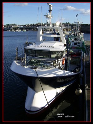 SSA42181.JPG