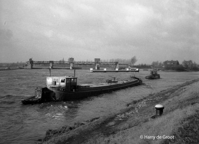 Suad 02302271 (1).jpg (141.49 Kio) Vu 4525 fois Suad 02302271 (1).jpg