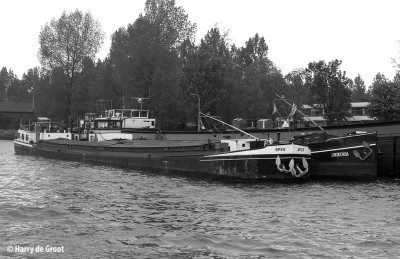 Spes 02307710 (2).jpg (170.12 Kio) Vu 1738 fois Spes 02307710 (2).jpg