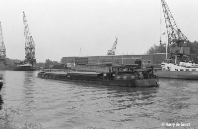 Noella 06000892 (3).jpg
