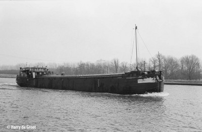 Noella 06000892 (1).jpg