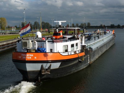 proserpina826102011.jpg (161.69 Kio) Vu 3409 fois proserpina826102011.jpg