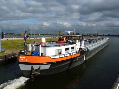 proserpina726102011.jpg (165.92 Kio) Vu 3409 fois proserpina726102011.jpg