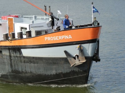 proserpina626102011.jpg (155.15 Kio) Vu 3409 fois proserpina626102011.jpg