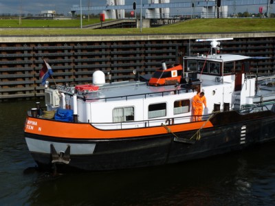 proserpina526102011.jpg (174.39 Kio) Vu 3409 fois proserpina526102011.jpg