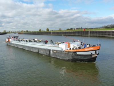 proserpina426102011.jpg (154.24 Kio) Vu 3409 fois proserpina426102011.jpg