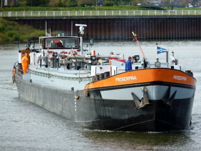 proserpina226102011.jpg (108 Kio) Vu 3409 fois proserpina226102011.jpg