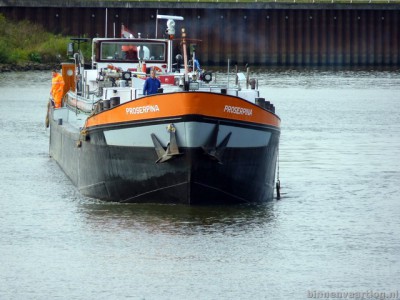 proserpina126102011.jpg (99.86 Kio) Vu 3409 fois proserpina126102011.jpg