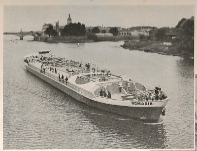 Romarin.jpg (255.93 Kio) Vu 13382 fois Romarin.jpg