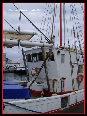 SSA42313.JPG