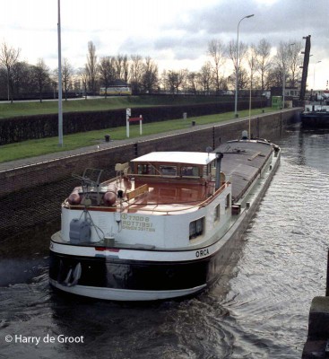 Orca 02307700 (6).jpg (116.77 Kio) Vu 8206 fois Orca 02307700 (6).jpg